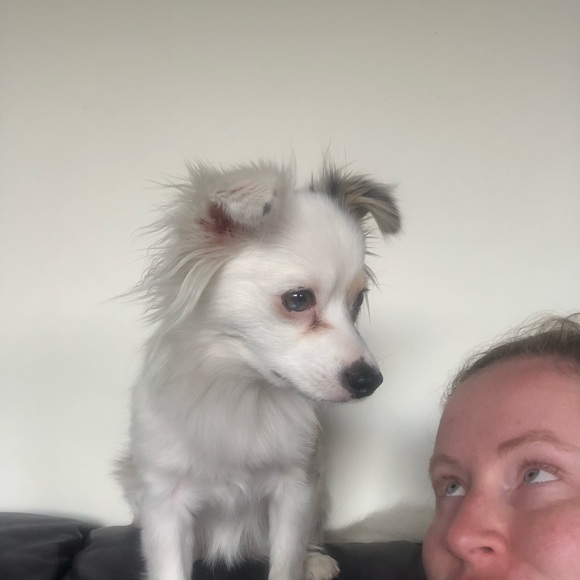 Meet your Posher, Kayla - Picture 1 of 1